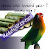 Terapi Bambu bisa buat Lovebird Ngekek Panjang ?