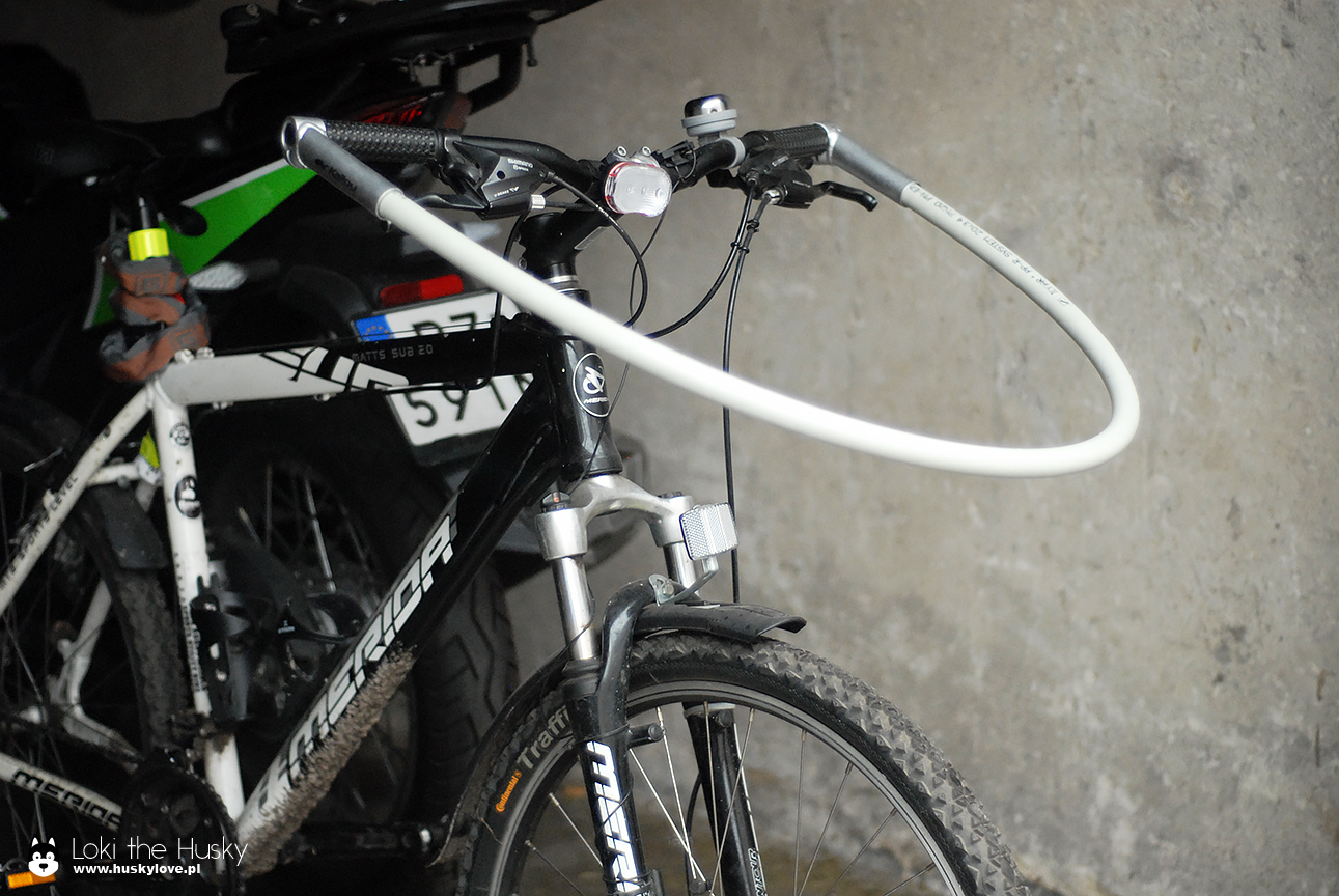 Efekt końcowy :) Rower z pałąkiem do bikejoringu