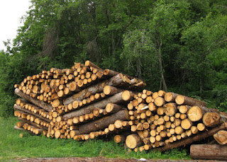 Ingenious V-shaped arrangement of stacked logs, Switzerland.