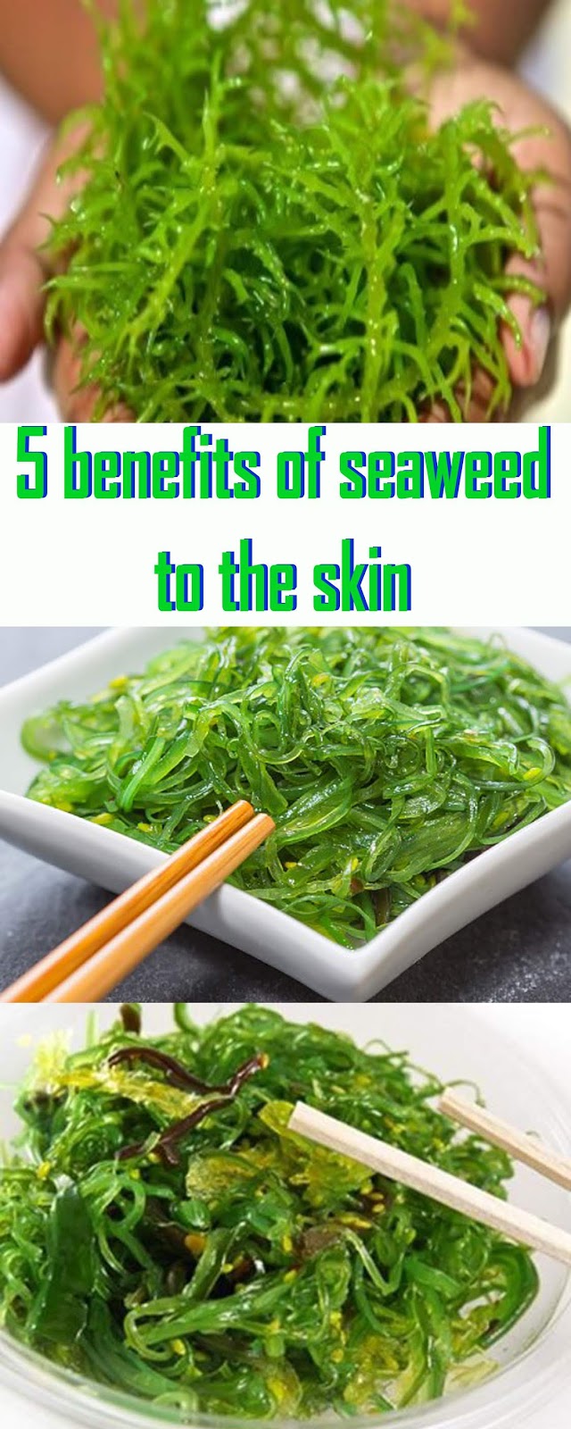 5 benefits of seaweed to the skin HEALTHY MOOM