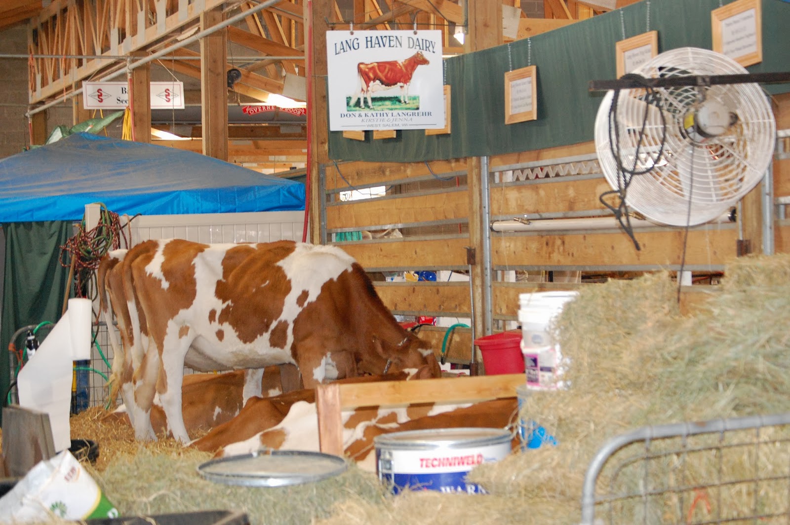 NEWS Scenes from around World Dairy Expo