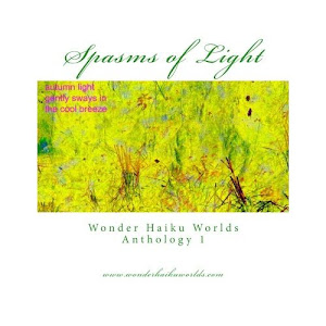 Spasms of Light, prima antologie a saitului Wonder Haiku Worlds