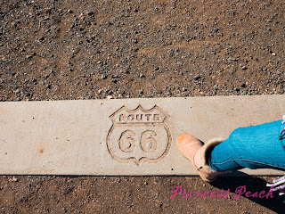 Petrified-Forest-National-Park-石化森林國家公園-Route-66