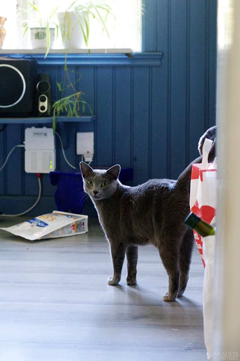 Lumos, photo by Alicia Sivertsson.
