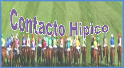 CONTACTO HIPICO