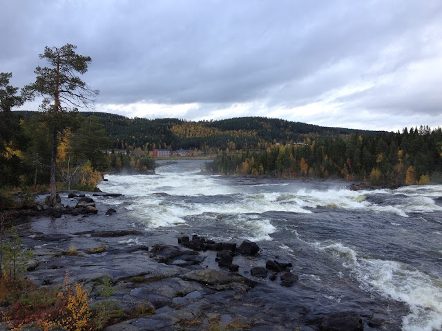 พักร่างที่ Storforsen