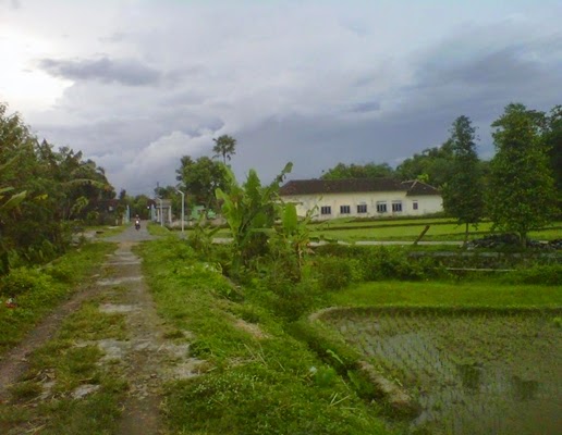 Pemandangan Foto Gambar Alam Pedesaan Sore Hari Setelah Turun Hujan