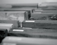 ASEMAD - Guías técnicas de madera en construcción 5 | Especies de madera {featured} especies-de-madera