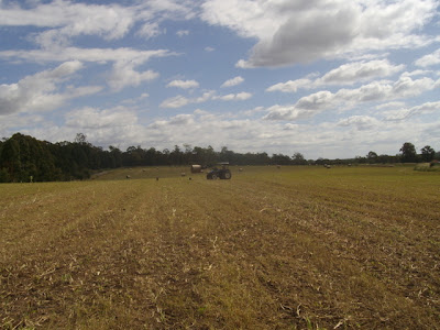 eight acres: making hay
