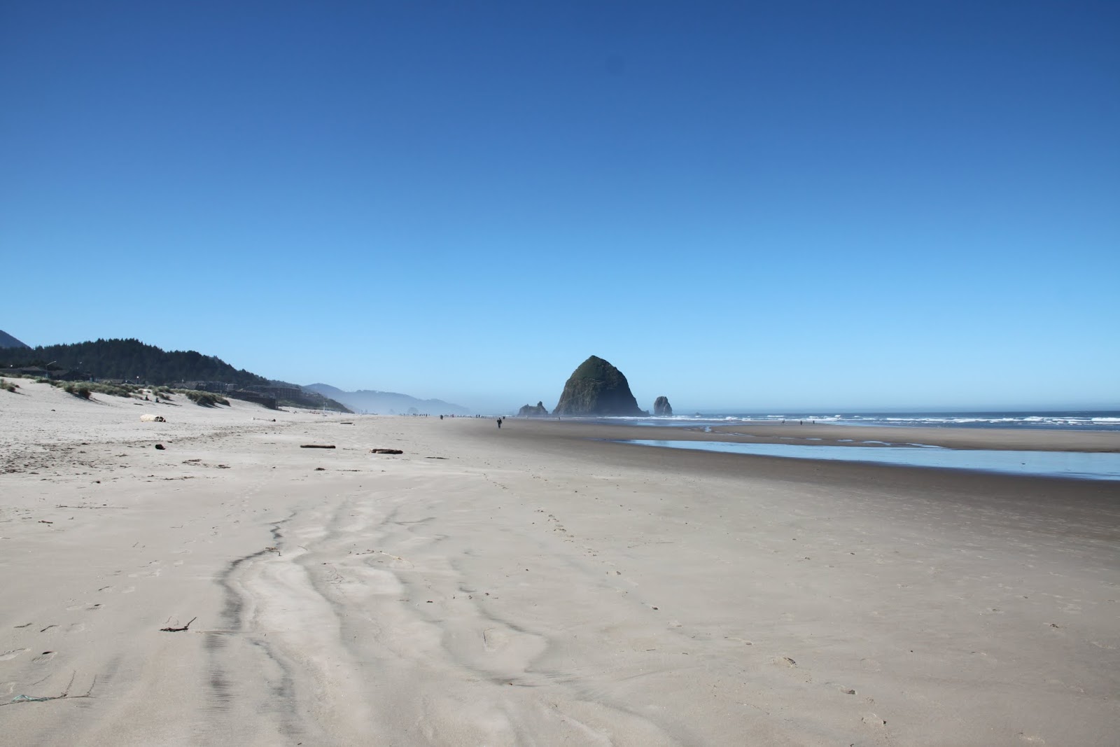 Thanks SWA Portland, Oregon {Cannon Beach}