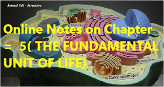 Online Notes on Chapter =  5 ( THE FUNDAMENTAL UNIT OF LIFE) Part 2