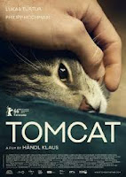 Tomcat