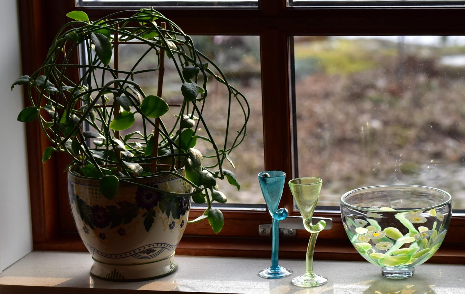 Hortofilia: stueplanter