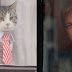 Julian Assange dresses up his cat in collar and tie