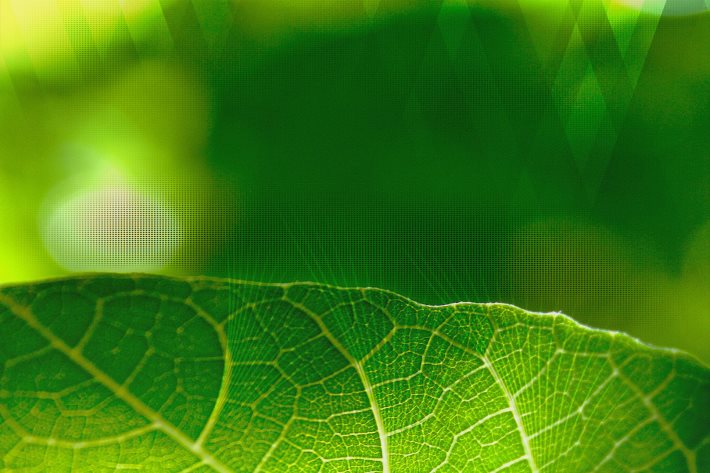 Wallpaper 10: Android L