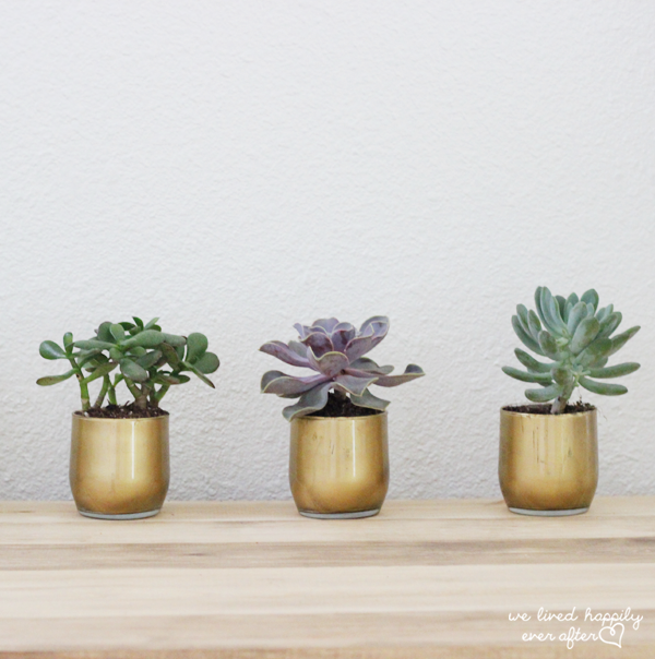 DIY gold painted vases