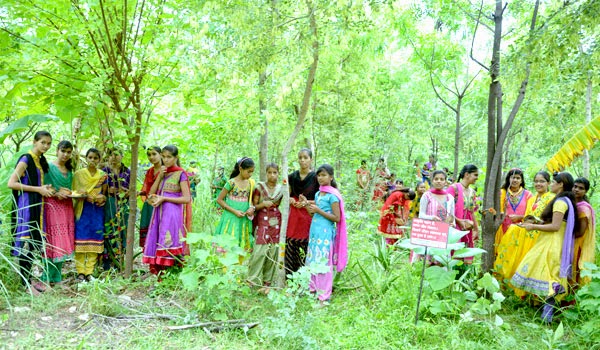 This Indian Village Plants 111 Trees Every Time a Girl Is Born