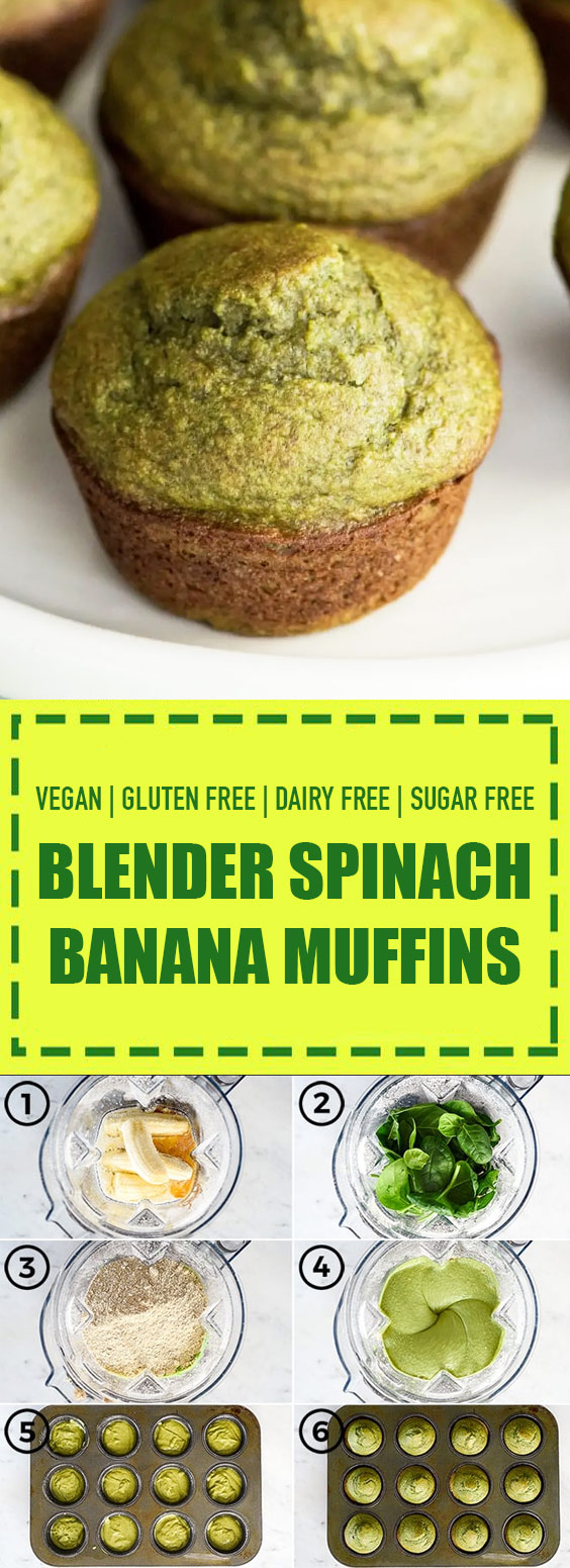 Gluten Free + Sugar Free Blender Spinach Banana Muffins Gluten Free + Sugar Free Blender Spinach Banana Muffins