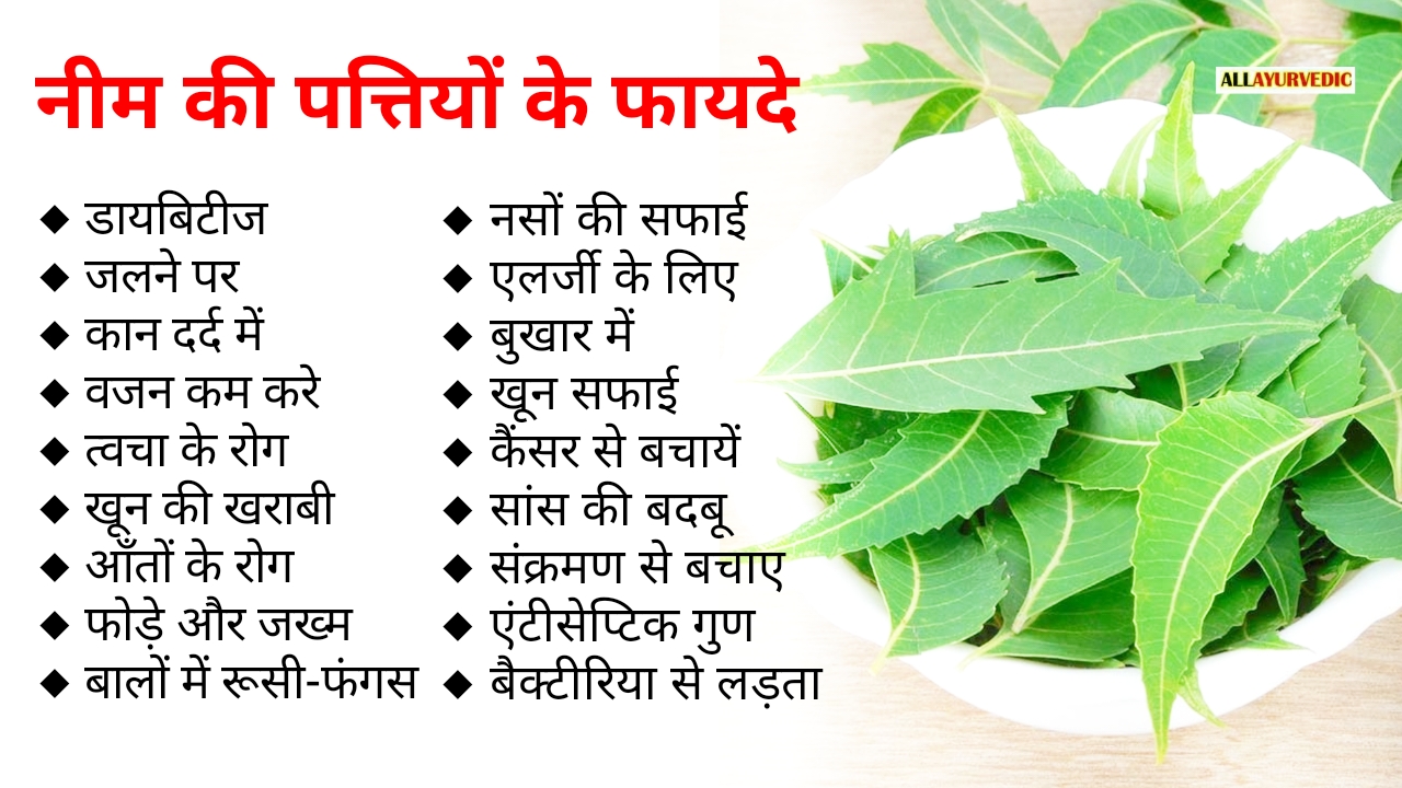 नीम की पत्तियों के फायदे All Ayurvedic