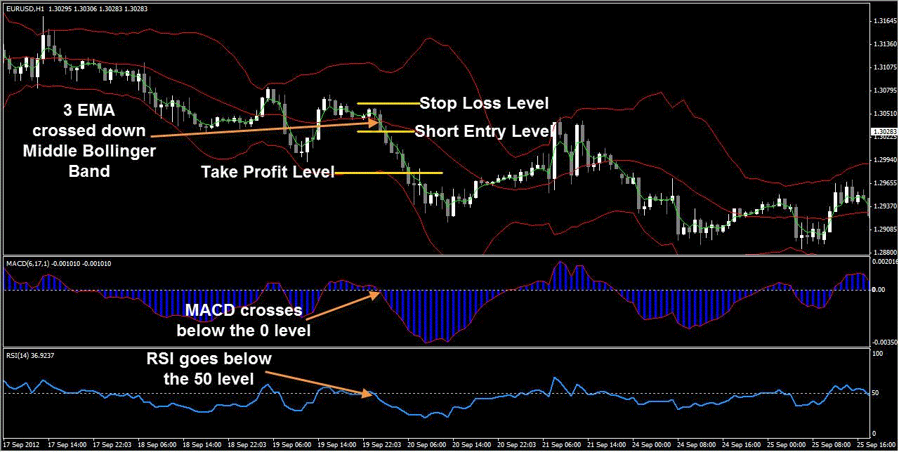 Forex trading fx pro