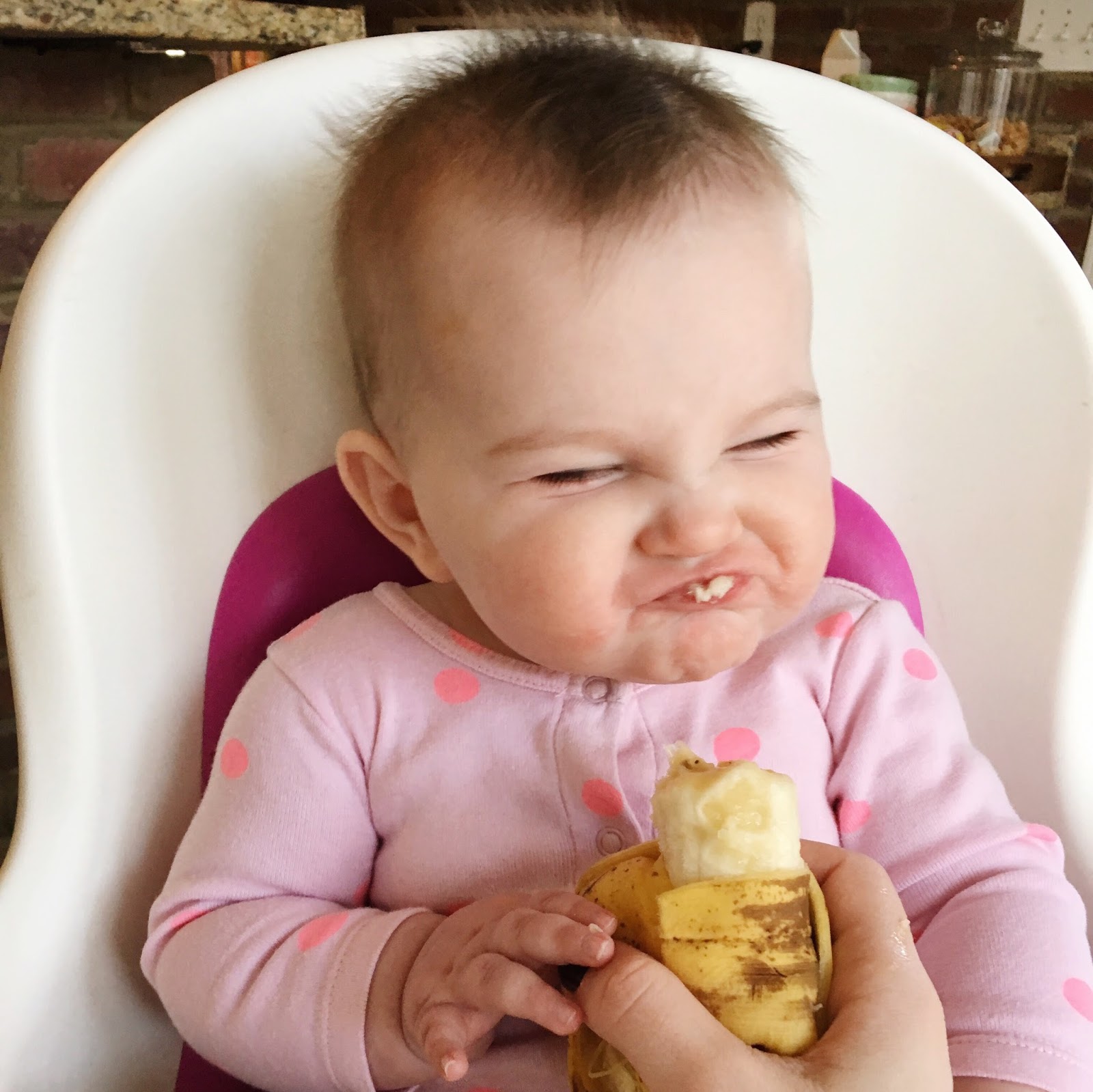 mini-meals-baby-led-weaning-update