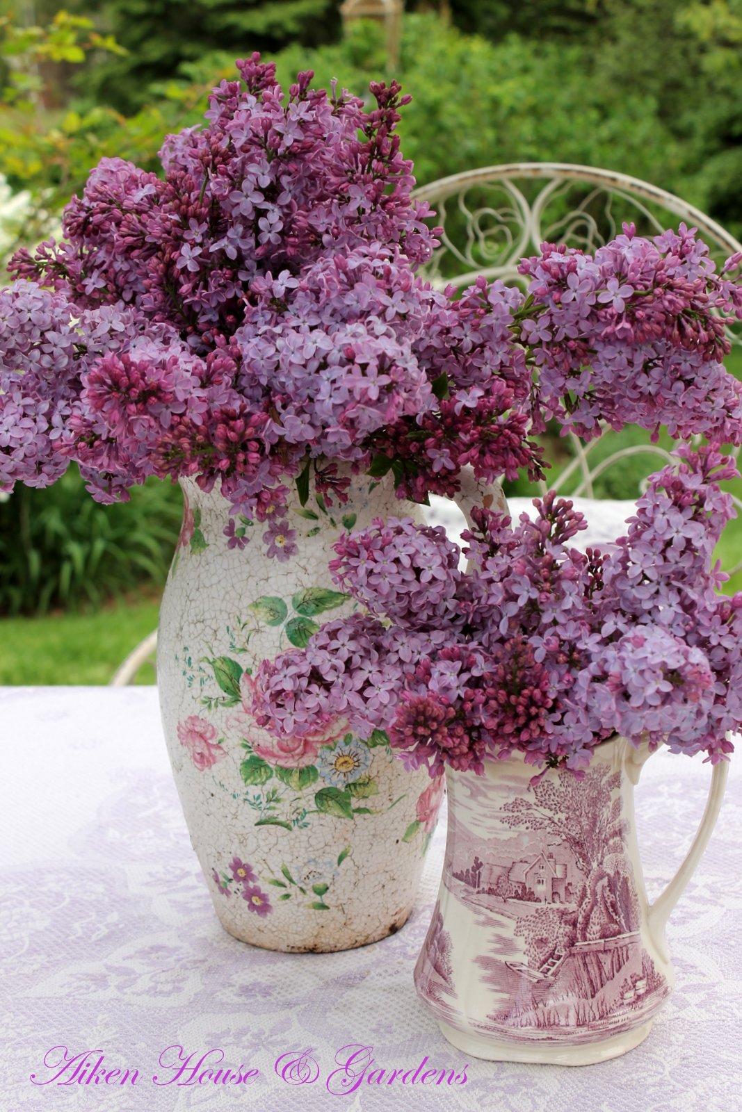 Aiken House & Gardens: It's Lilac Time!