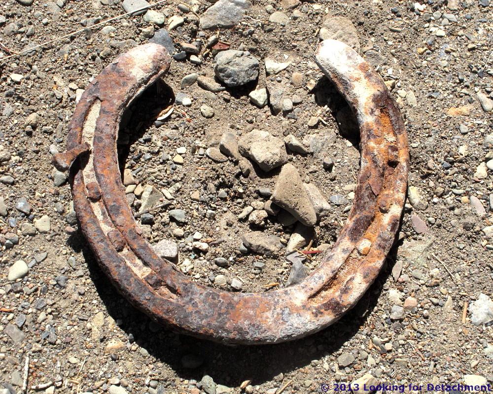 Looking For Detachment Things You Find in the Field Old Horseshoe