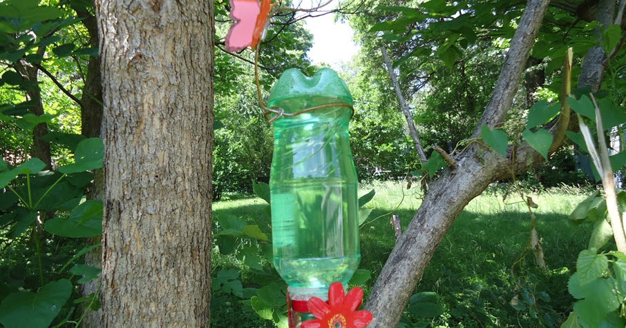Hummingbird Feeder Diy Made From Soda Bottle And Seasoning