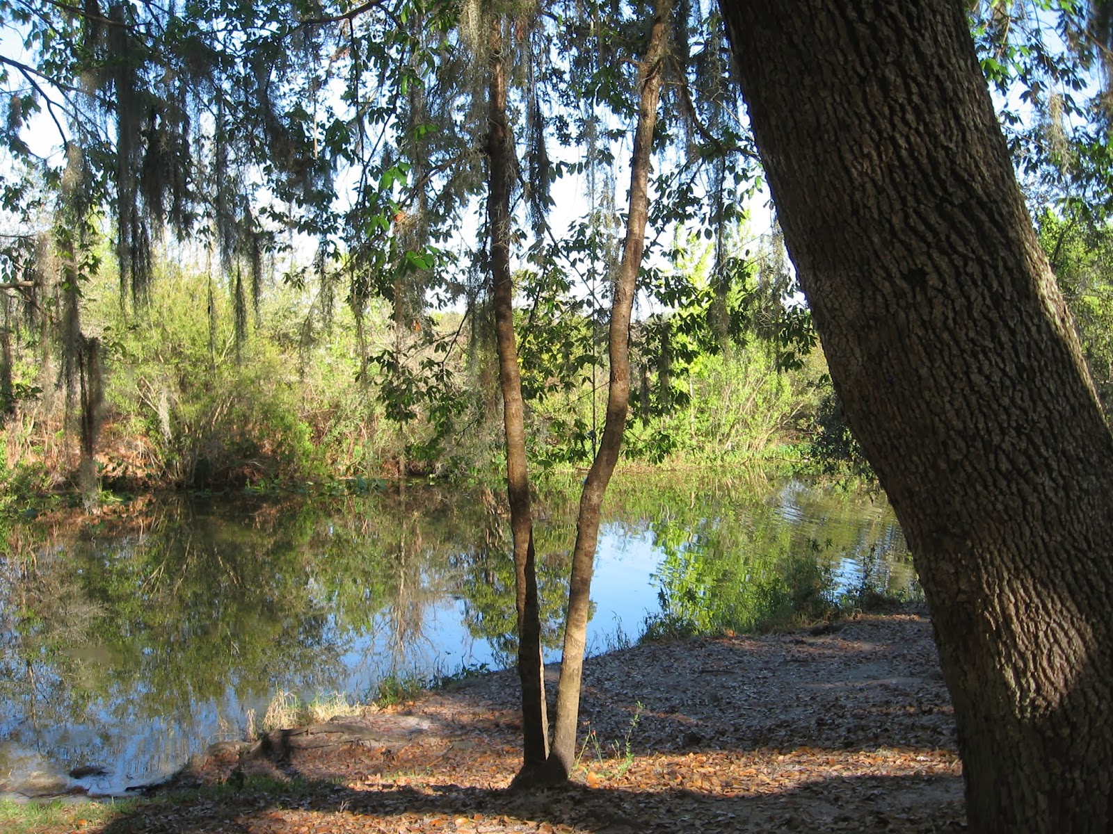 Thonotosassa Florida Baker Creek Boat Ramp on Lake Thonotosassa