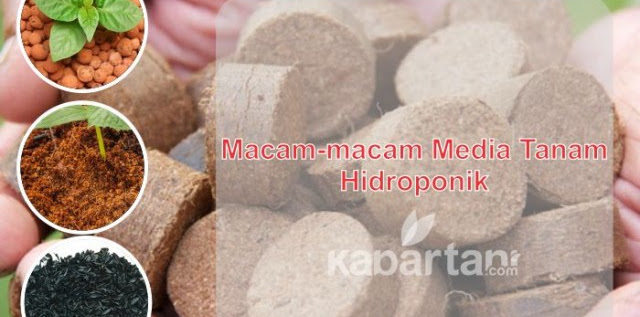 Macam-Macam Media Tanam Hidroponik Untuk Kebun Anda Macam-Macam Media Tanam Hidroponik Untuk Kebun Anda