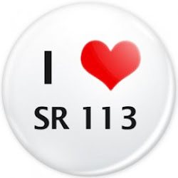 SR 113