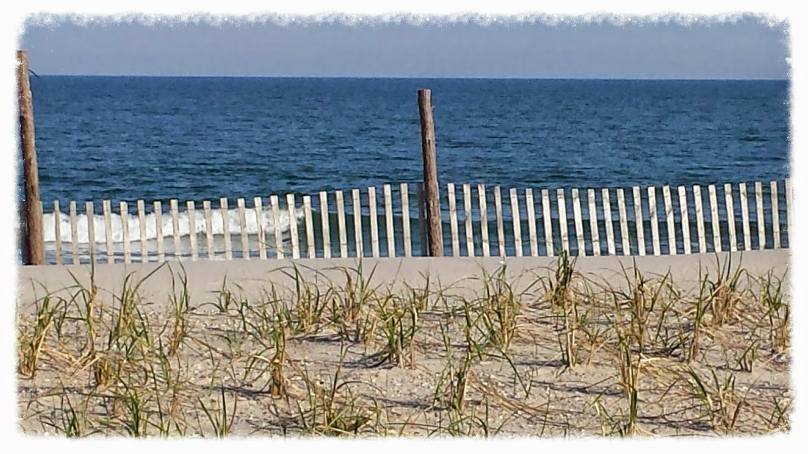 Long Beach Island Real Estate Market