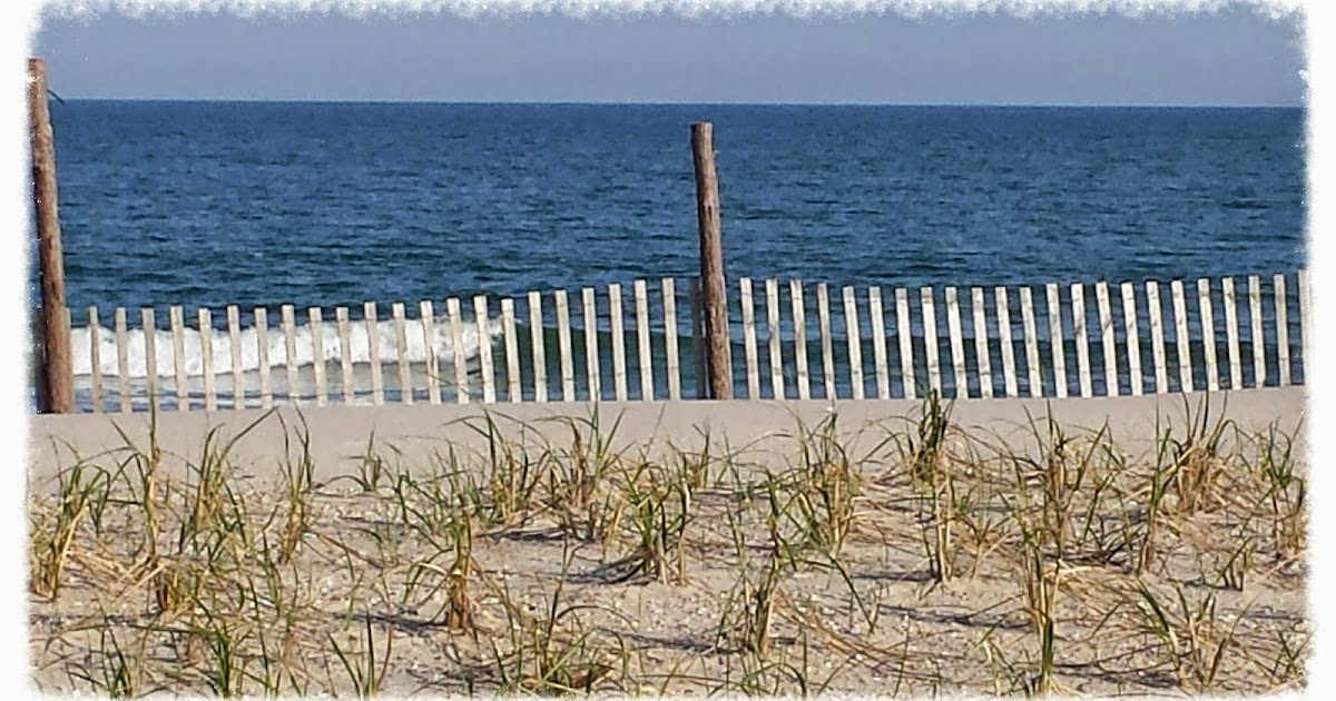 The Long Beach Island Real Estate Market Making an Offer in the Long