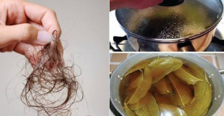 How To Stop Hair Loss? Regrow Your Hair Naturally And Quickly