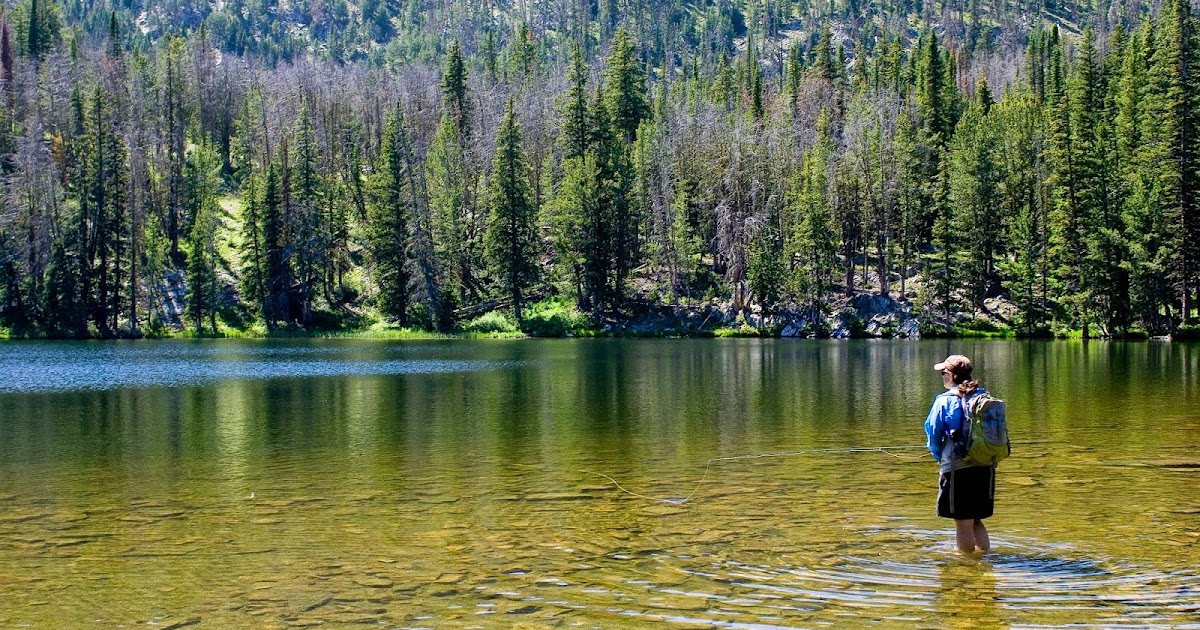 Troutbugs How to catch golden trout