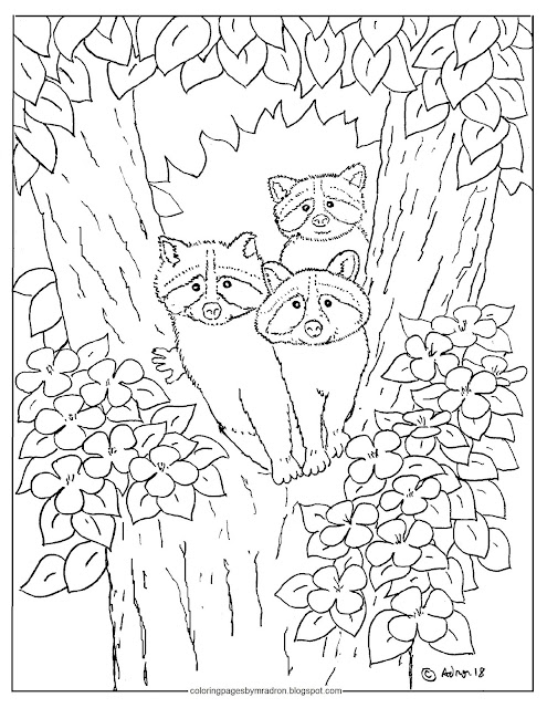Coloring Pages for Kids by Mr. Adron: Baby Raccoons In A Tree Coloring ...