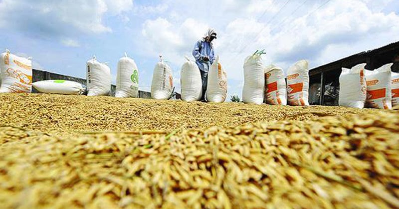 img src panen dan pasca panen