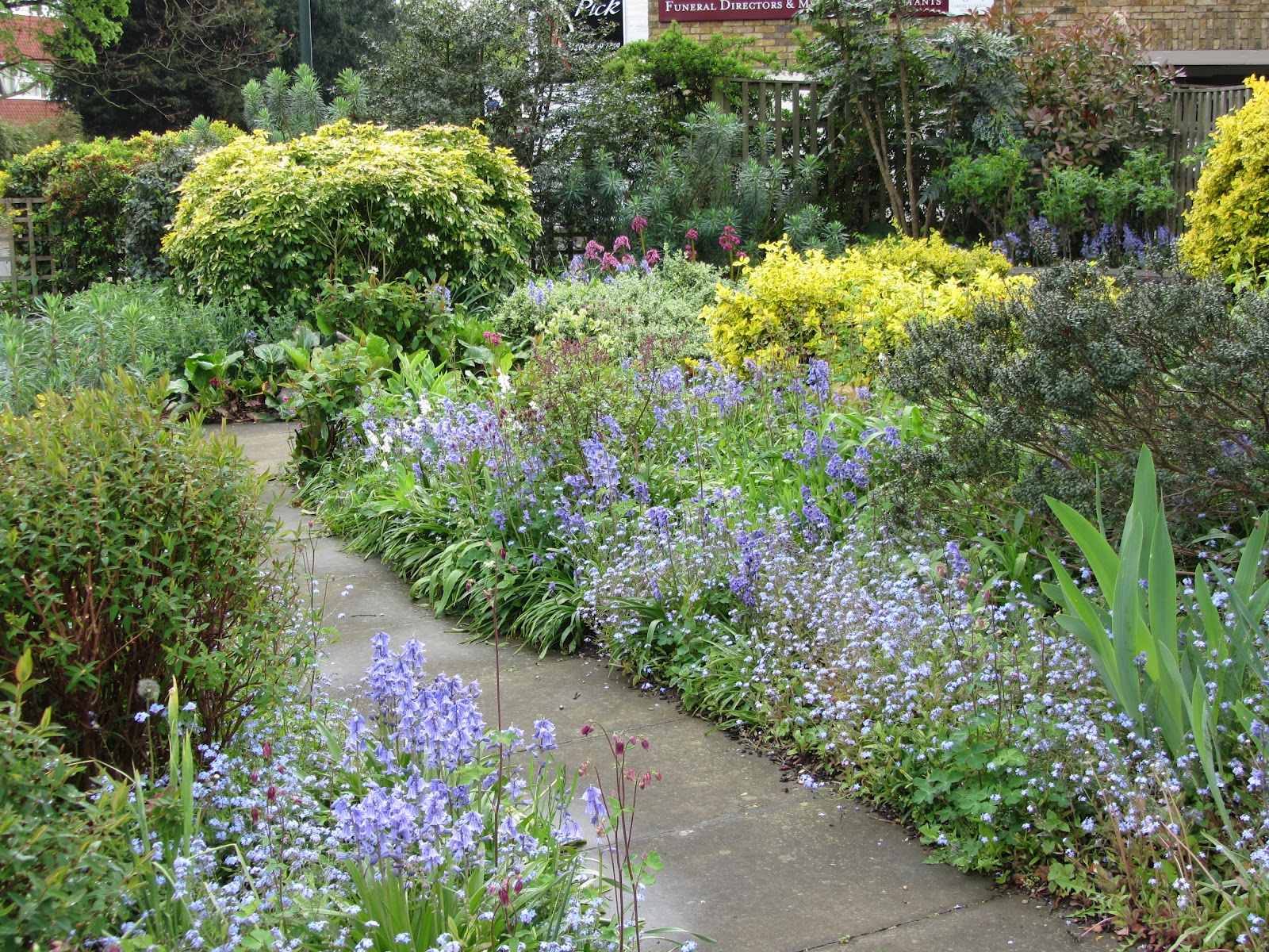 Ham Photos HAG garden