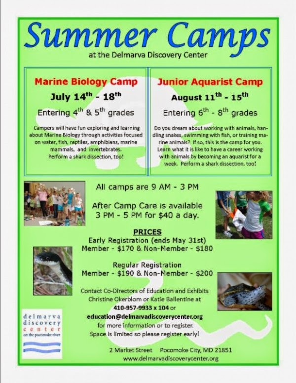 The Public Eye Delmarva Discovery Center SUMMER CAMPS