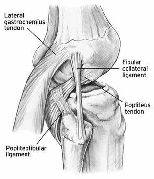 Posterolateral Corner Anatomy Diagram - El Paso Chiropractor