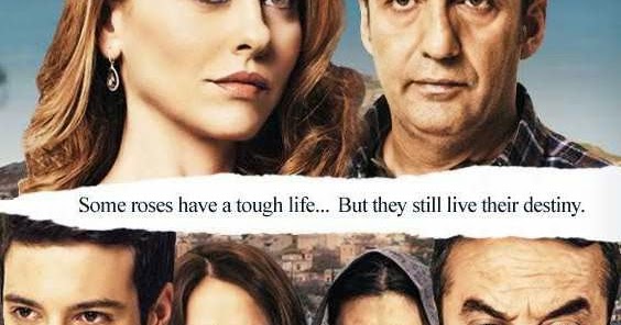 tanar si nelinistit serial online