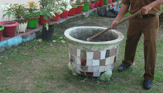 cara memindahkan tanaman dari polybag ke pot baru