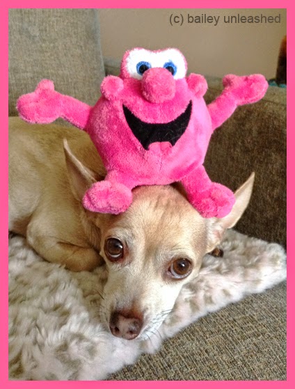 mr bubble plush dog toy