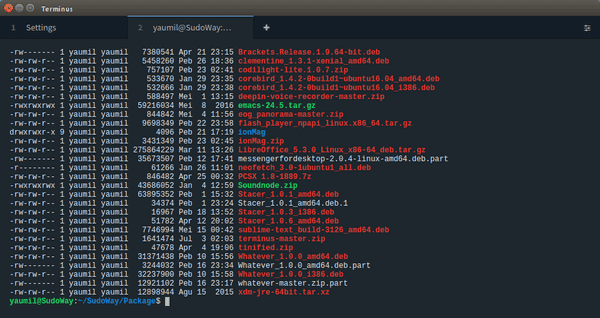 Terminus, Terminal Custom Modern ala Hacker Profesional