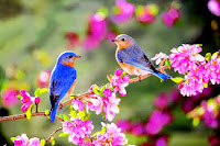 world nature conservation day -in hindi 9 Hindi Hindustani