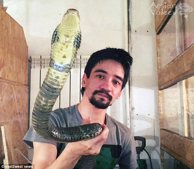 Broken Hearted Final Moment': Youtuber Snake Expert Live Streams His Death After Allowing His Pet 'Black Mamba' to Him. Broken Hearted Final Moment': Youtuber Snake Expert Live Streams His Death After Allowing His Pet 'Black Mamba' to Him.