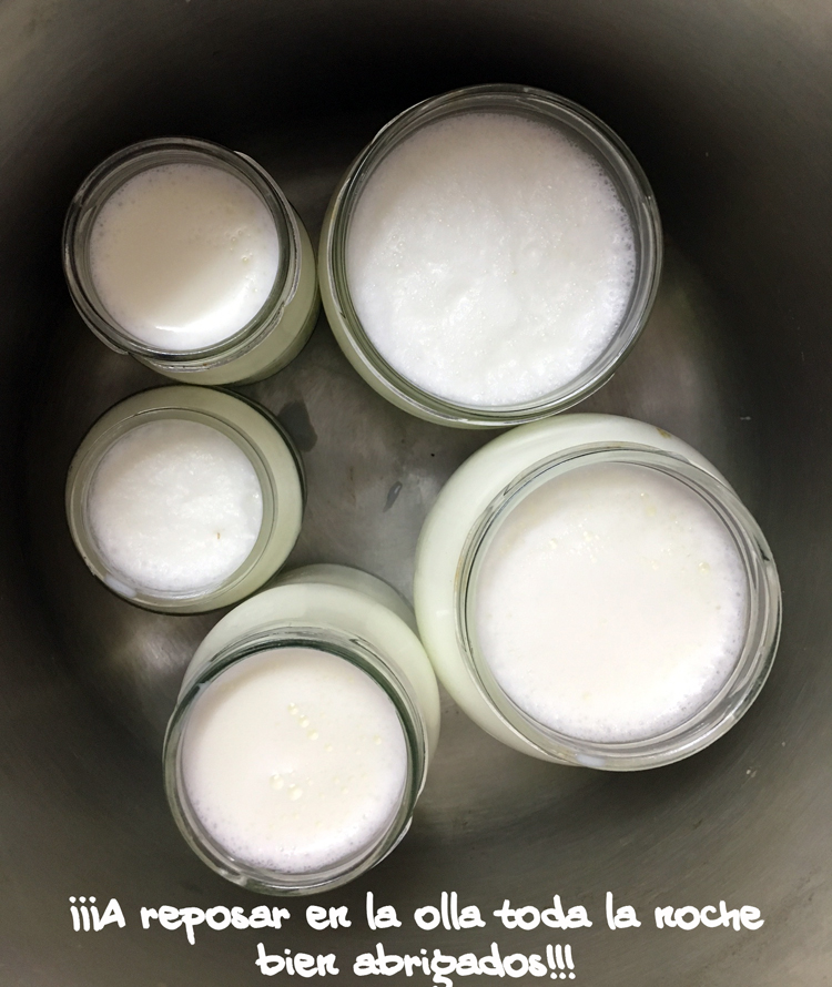 Yogur natural casero