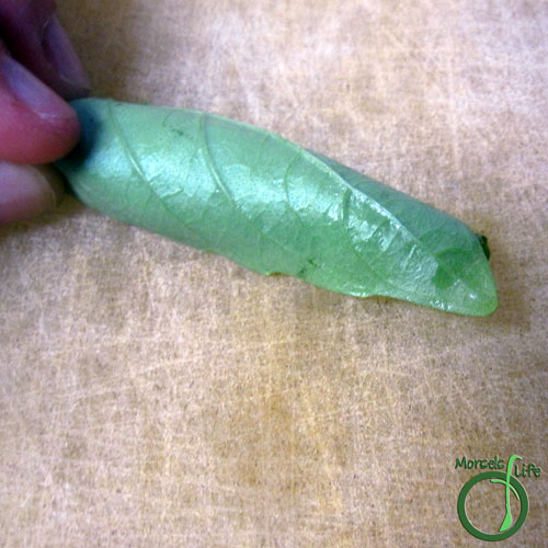 Morsels of Life - How to Chiffonade Step 3 - Roll leaves into a log, and slice into thin strips.