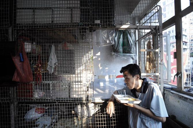 Brian Cassey Photographer. The Cage Dogs of Hong Kong