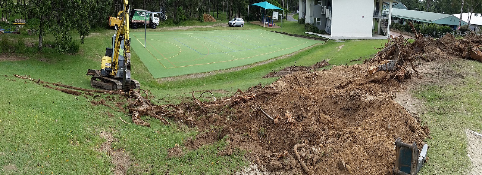 Splinters Tree Lopping